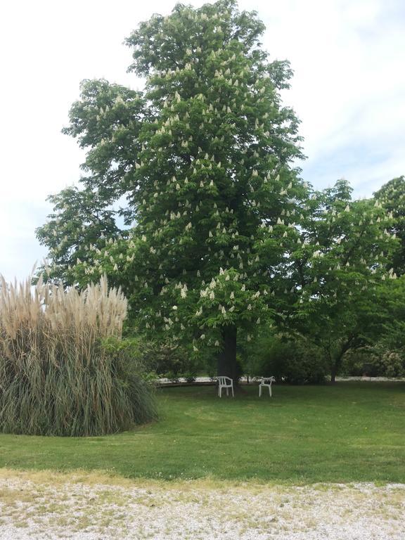 Agriturismo Al Navile Malalbergo Kültér fotó