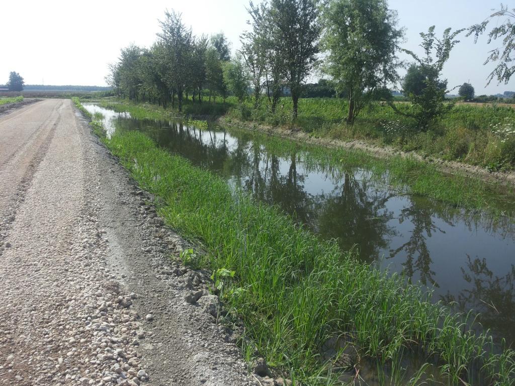 Agriturismo Al Navile Malalbergo Kültér fotó