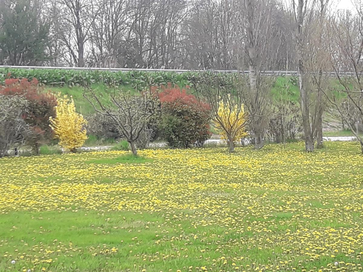 Agriturismo Al Navile Malalbergo Kültér fotó